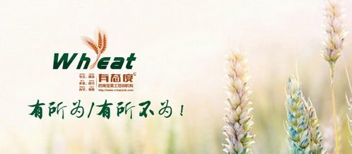 杭州平面设计培训课程 同构在图形设计创意中的应用